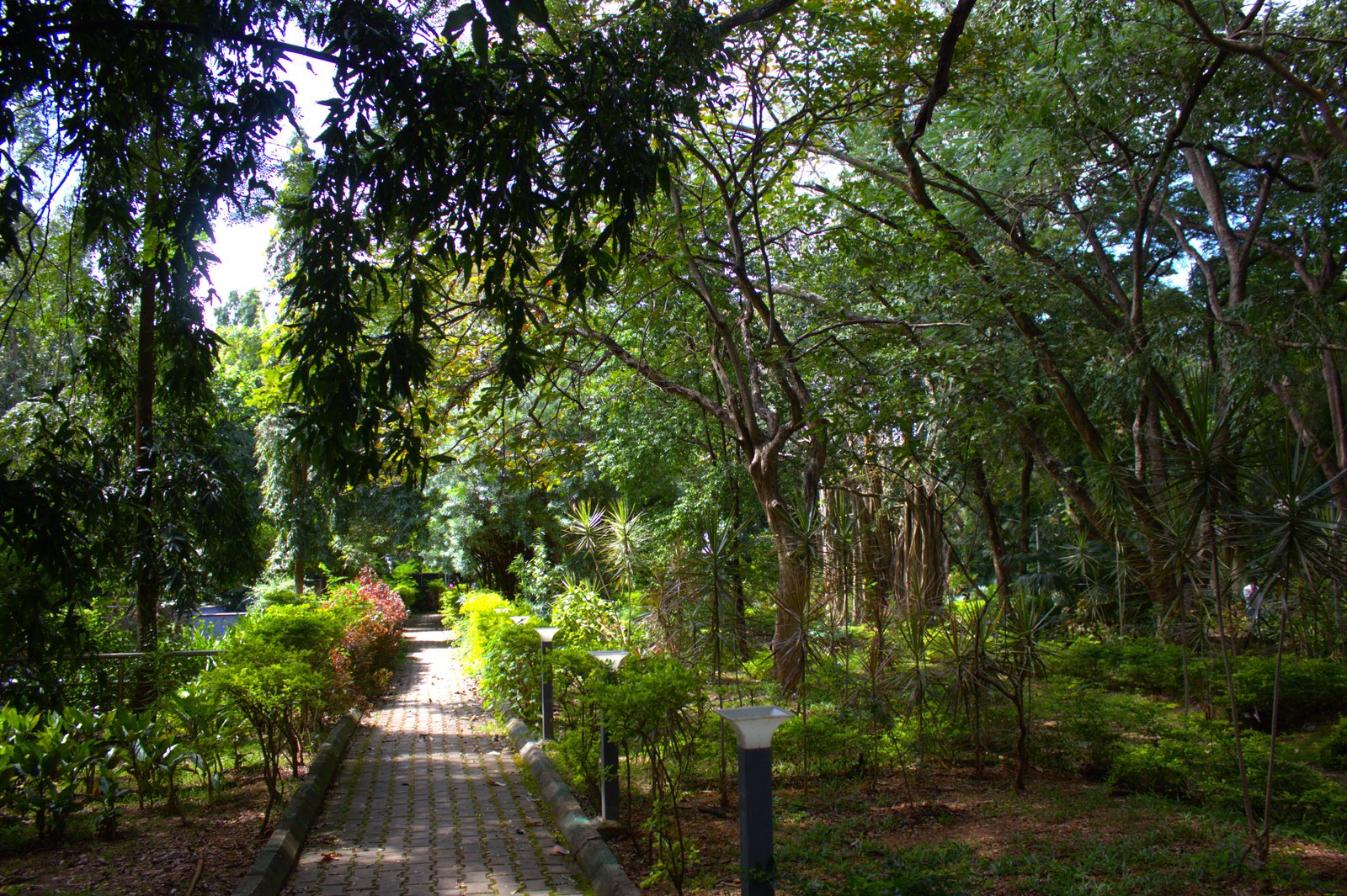 Glass House Park in Davanagere