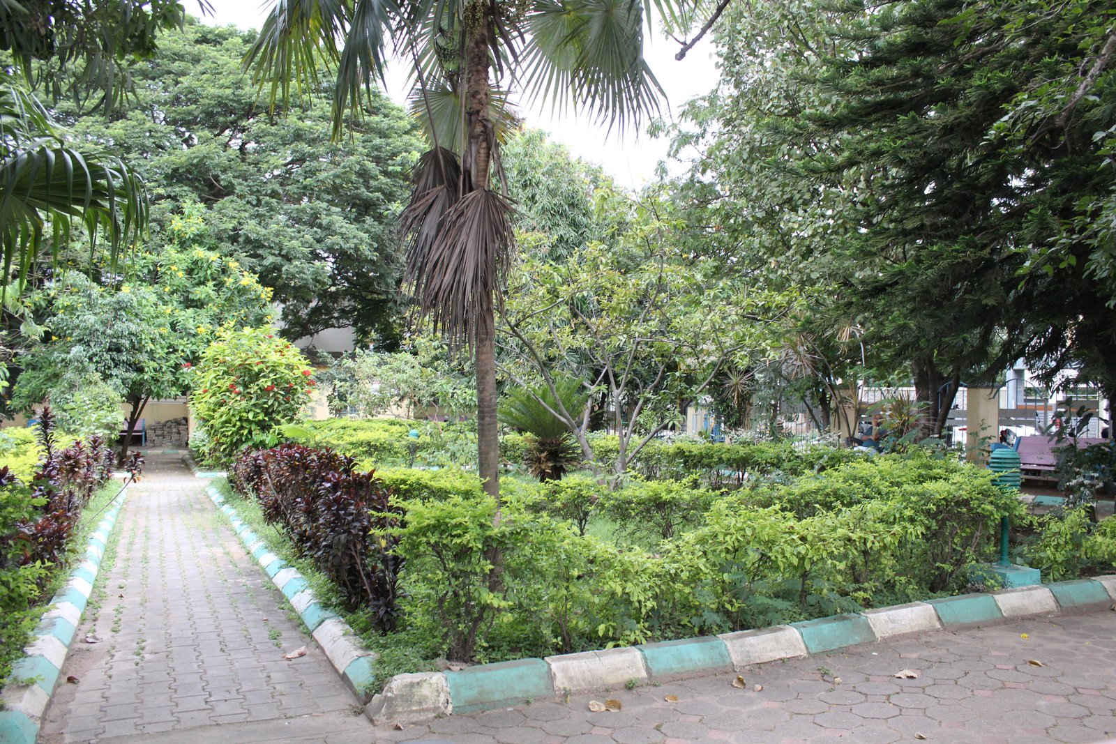 Kasal Shreenivasa Shetty Park Davanagere