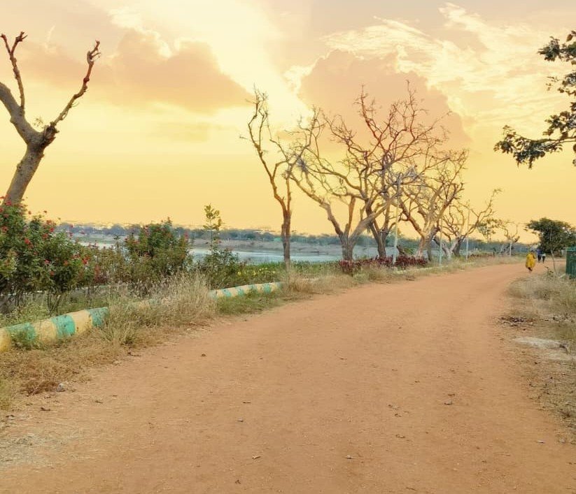 Kunduvada Lake Garden, Davanagere
