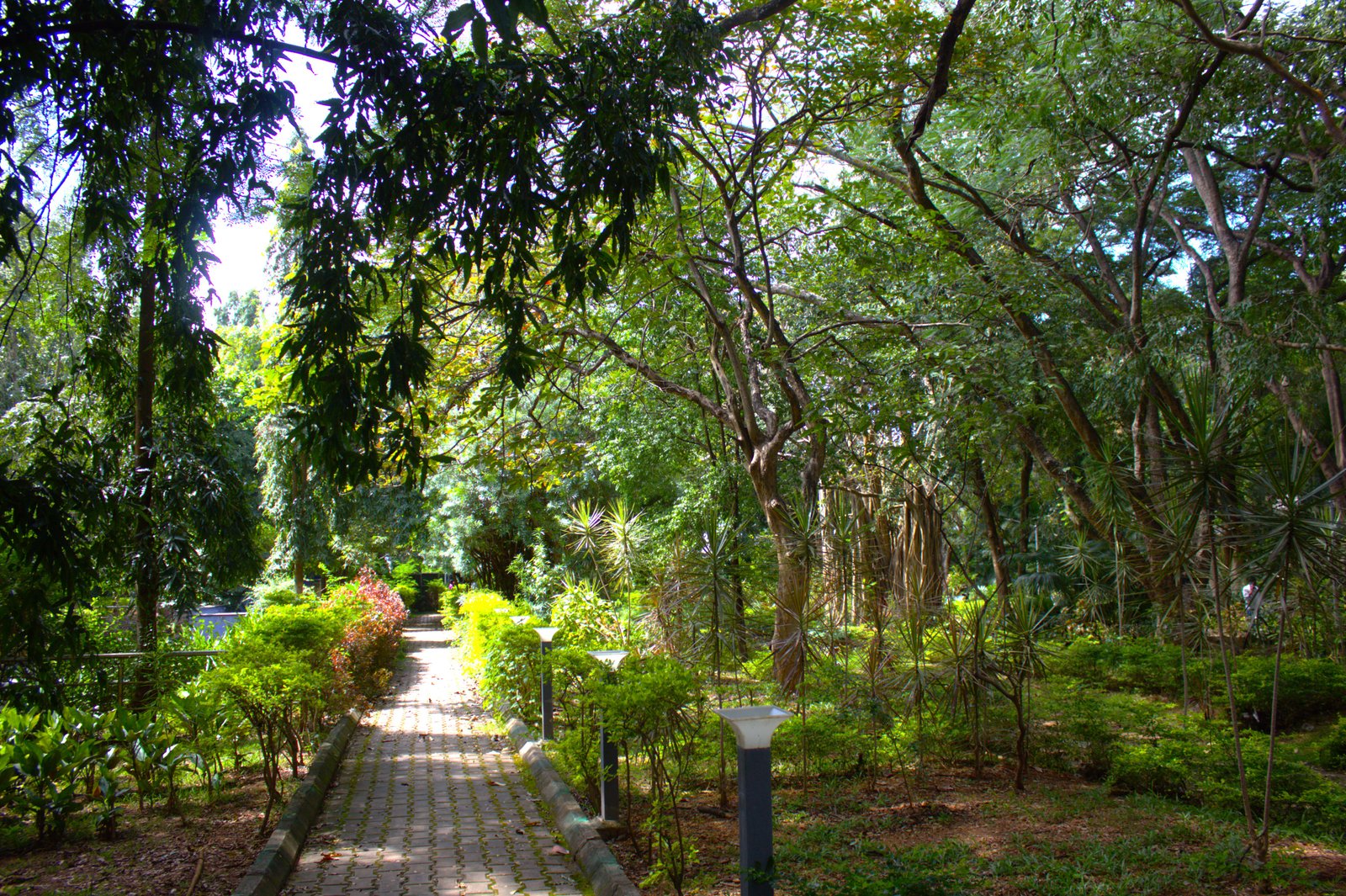 Vidyanagar Park Teachers Colony Davanagere