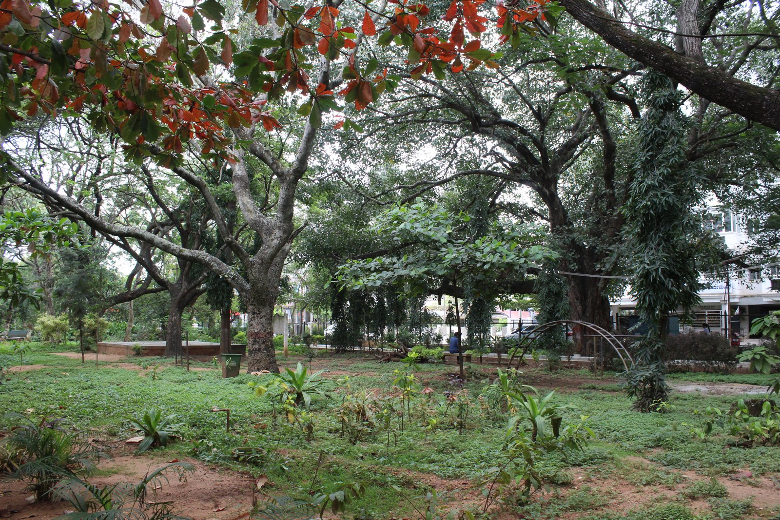 Water Tank Park Davanagere